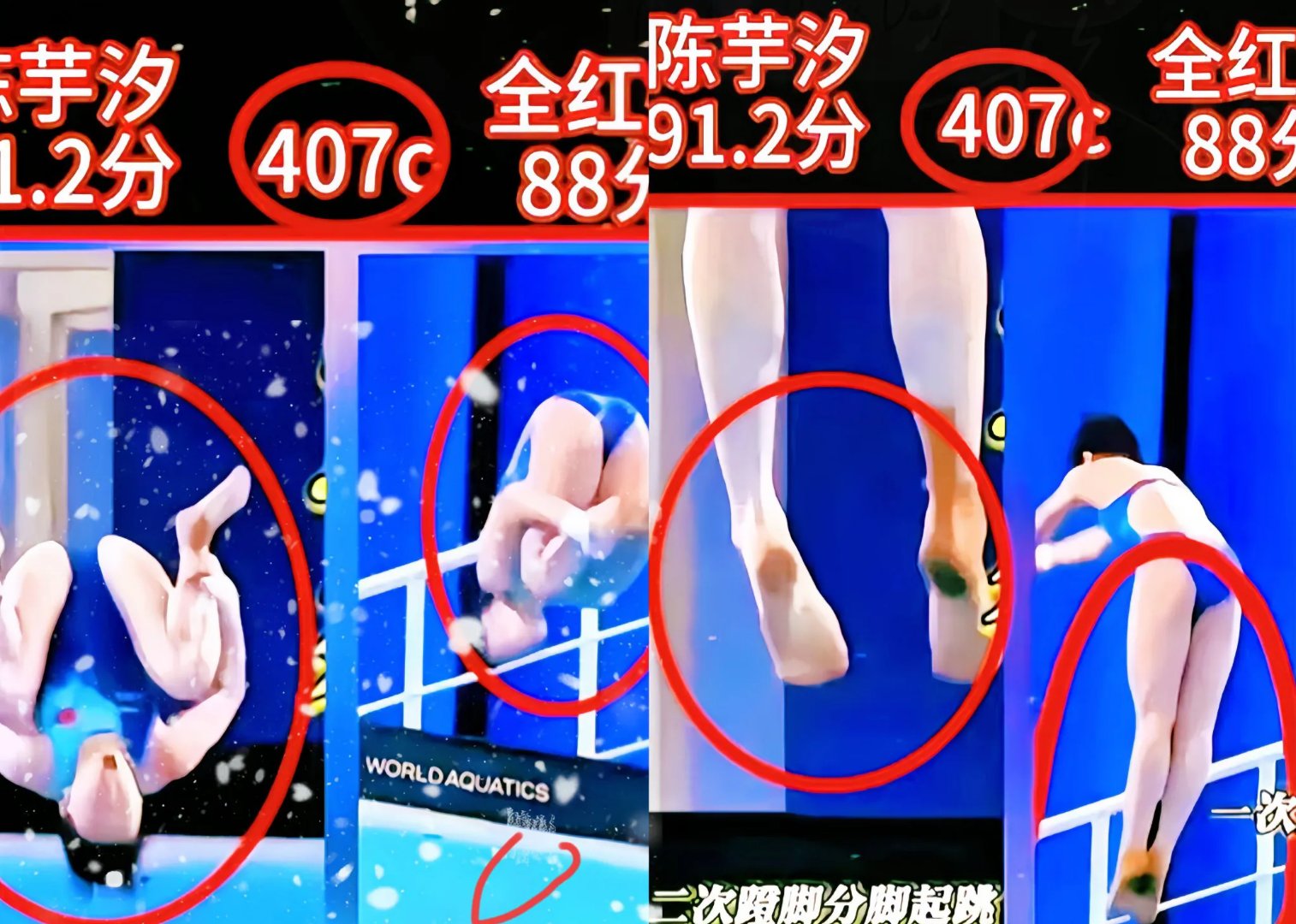 中国跳水选手包揽男女四个项目冠军