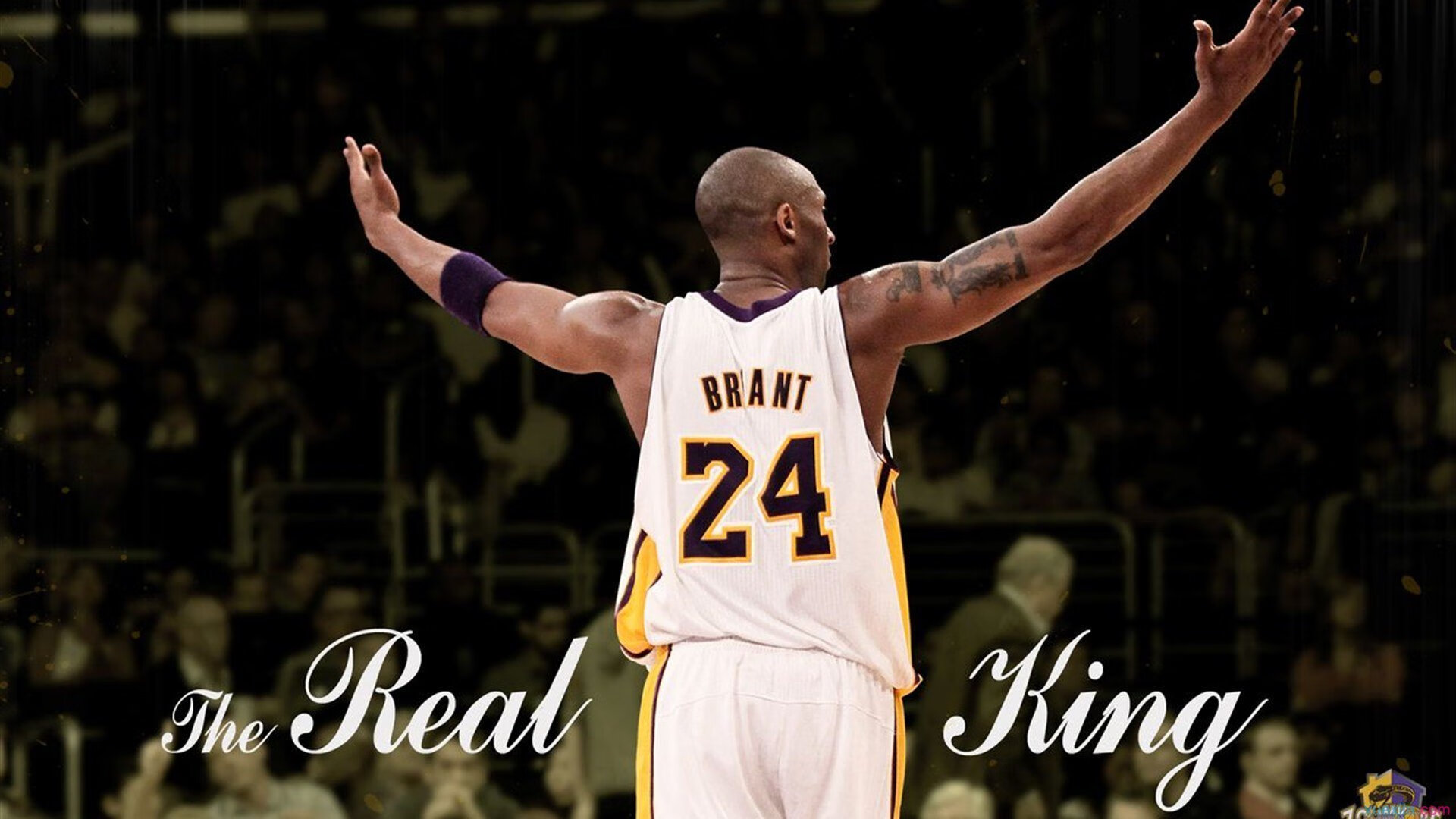 开云体育入口-温网阴影下的都灵回响，辛纳如何用一场联合杯险胜，投射出ATP总决赛的未竟之战